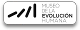 Banner Museo Evolucin